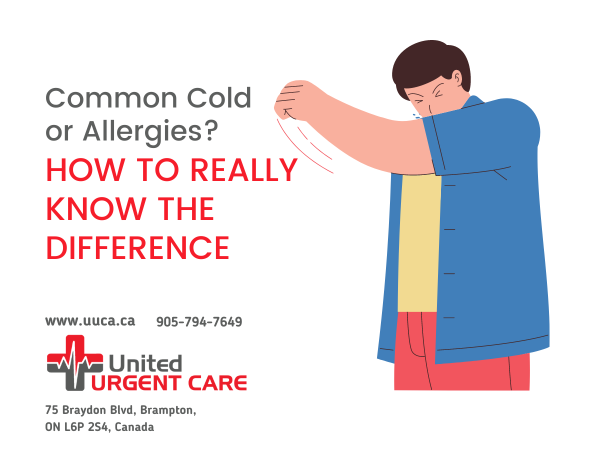 Featured image for “Common Cold or Allergies? How to Really Know the Difference”