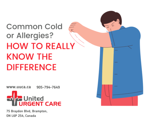 Common Cold or Allergies? How to Really Know the Difference